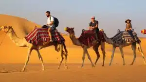 How to Plan the Best Quad Biking and Dubai Dune Buggy Experiences 2026? 9 FB IMG 1580197521528