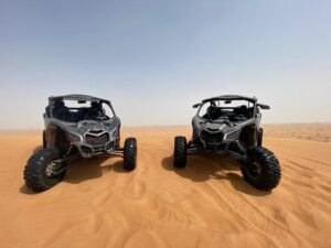 Desert Buggy in Dubai