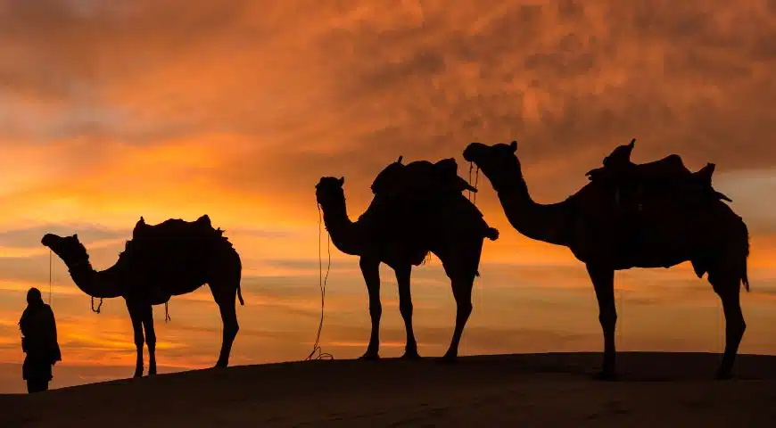 Desert safari dubai