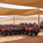 desert leap all 0P7A3593