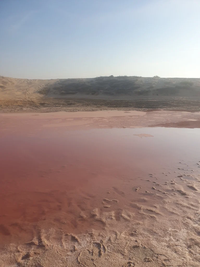 pink lake tour