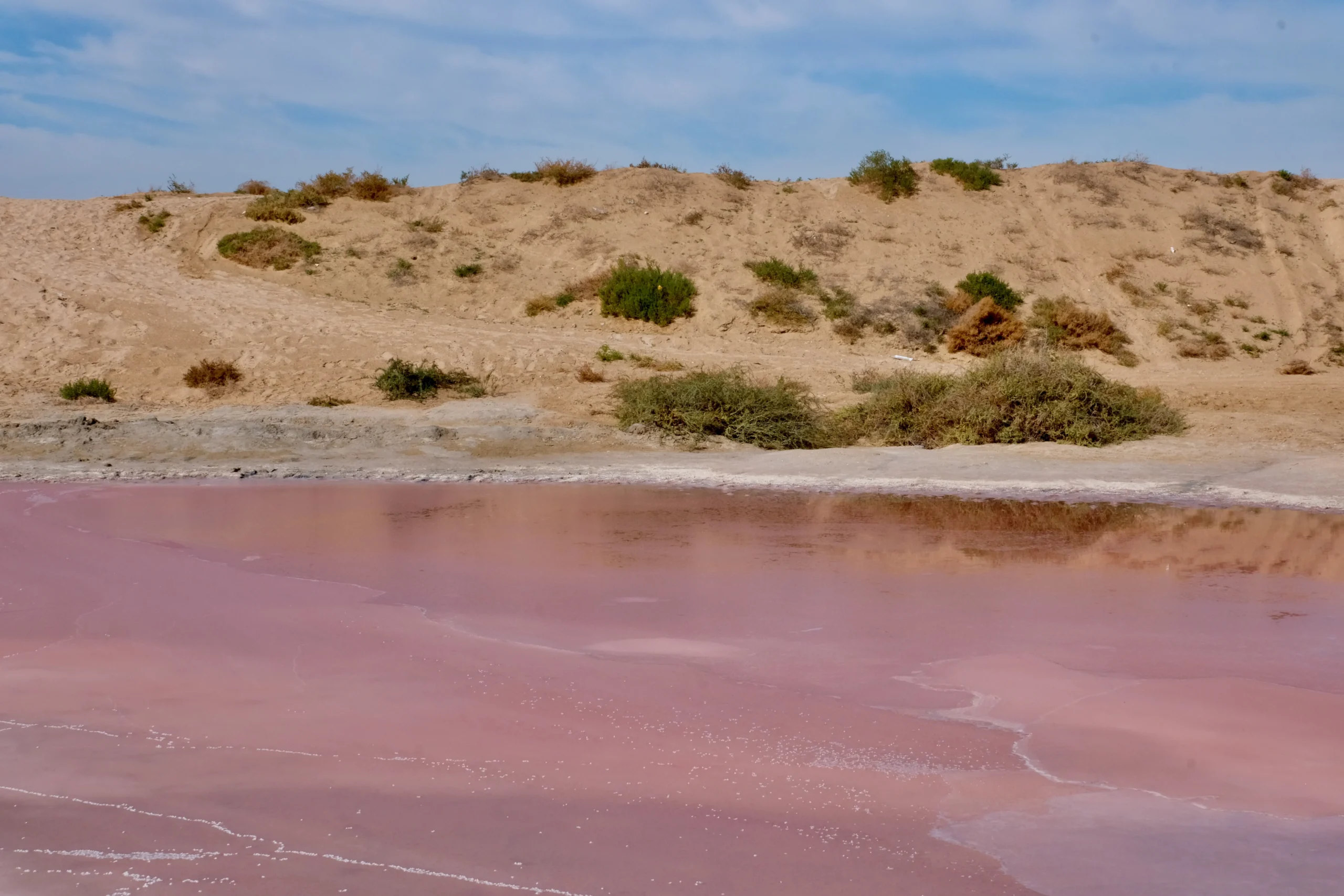 pink lake uae