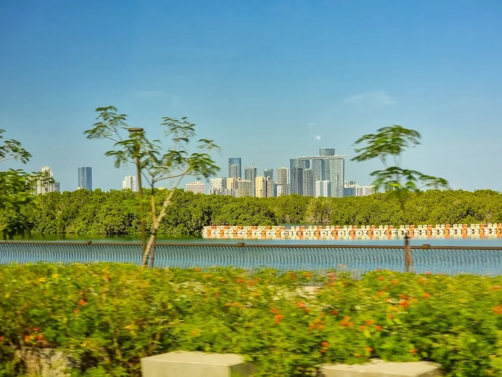 eastern mangrove national park ecosystem