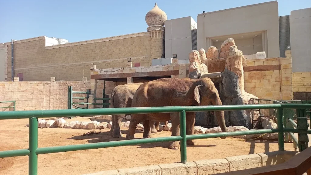 emirates park zoo indoor or outdoor