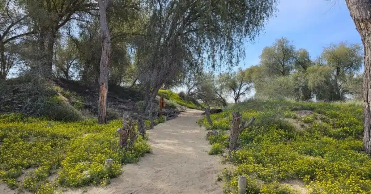 Mushrif Park Hiking