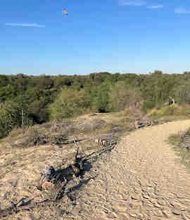 Mushrif Park Hiking Trail (Dubai) 3 Mushrif Park Hiking