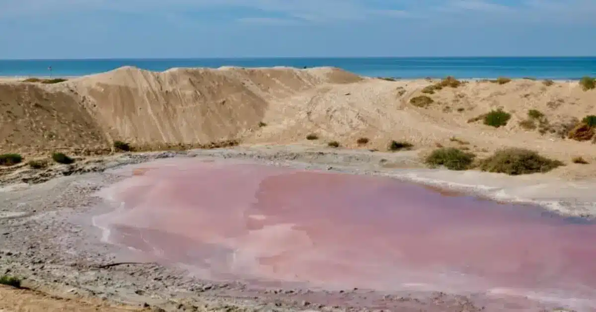 Pink Lake