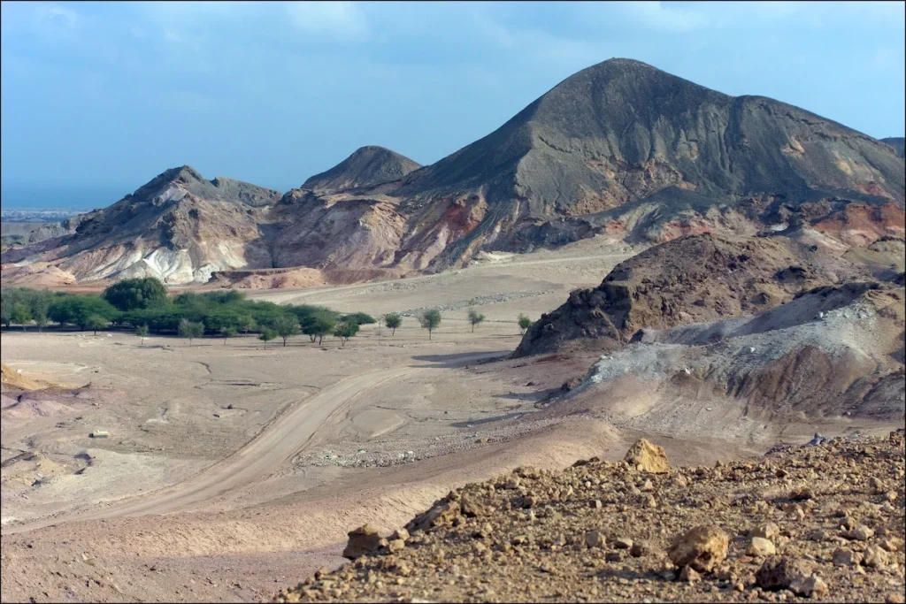 sir bani yas island things to do