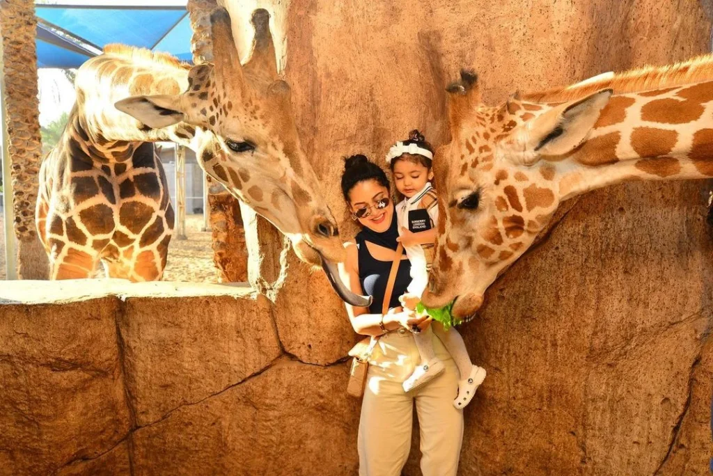 emirates park zoo visitors