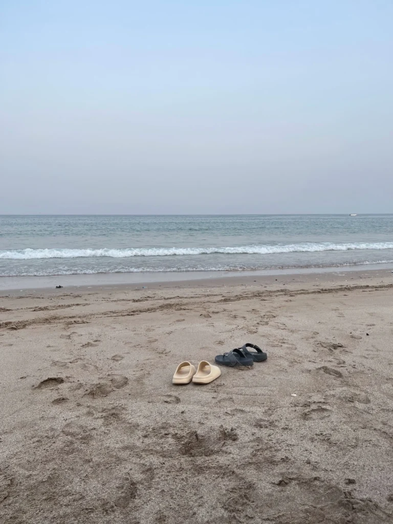 al aqah beach visit