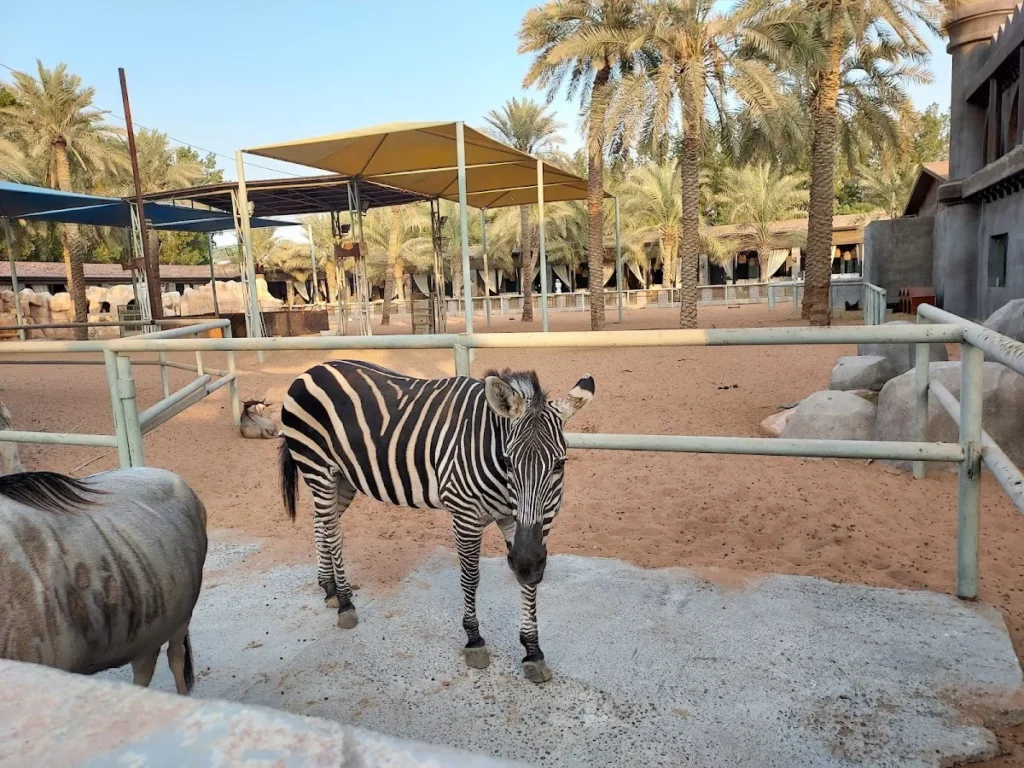 emirates park zoo reviews