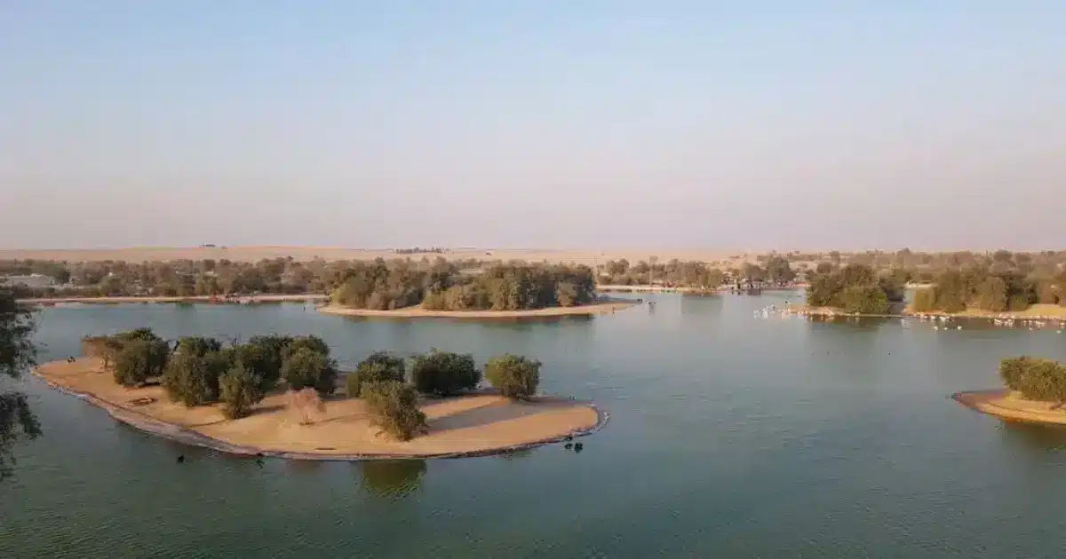 Al Qudra Lake Dubai