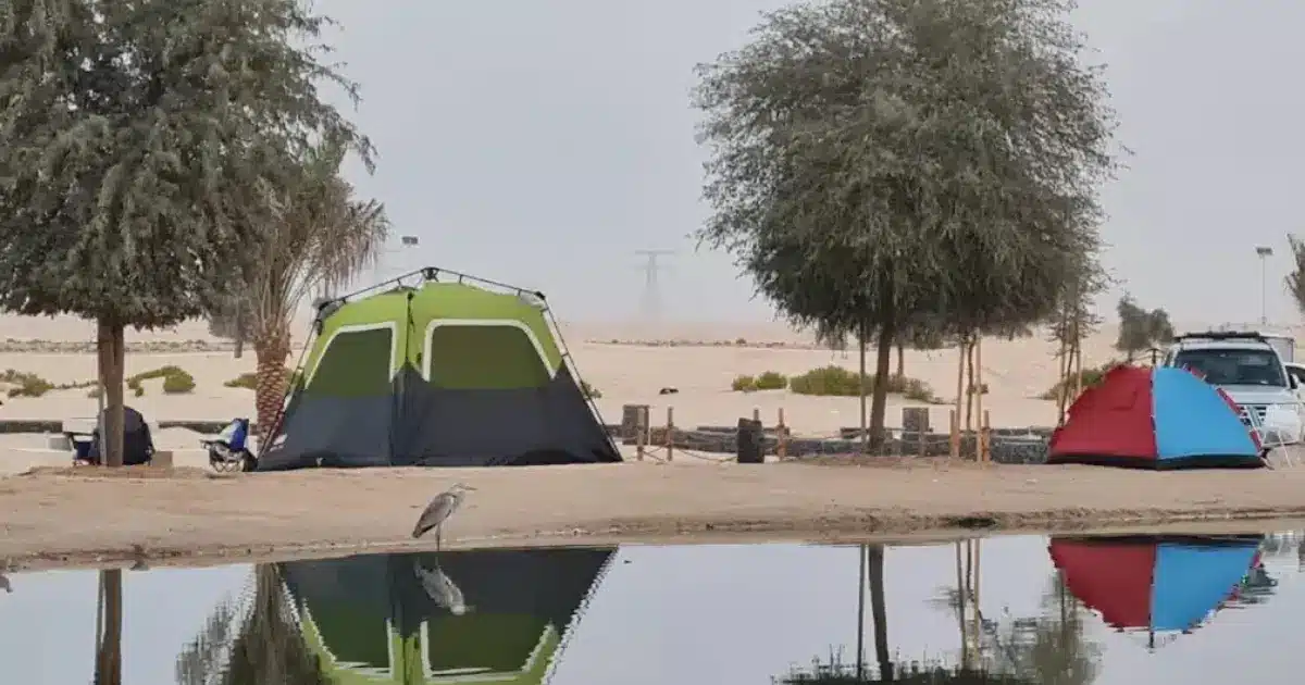 Al Wathba Lake Camping