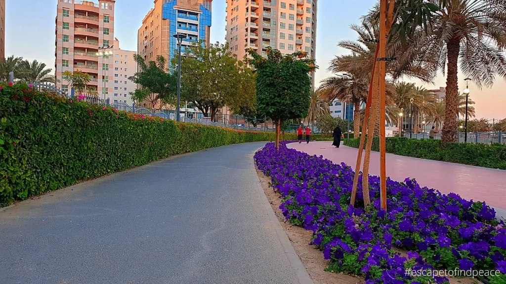 Are There Walking and Jogging Tracks in Al Barsha Pond Park