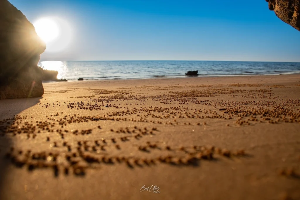 shuweihat island weather