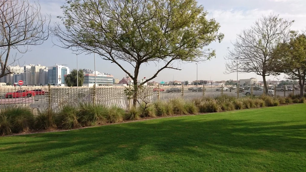 When is the Best Time to Visit Al Barsha Pond Park