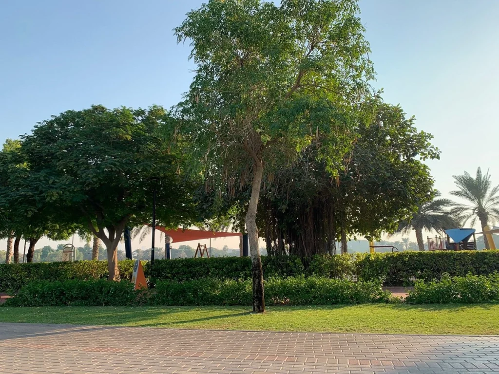 Why Visit Al Barsha Pond Park