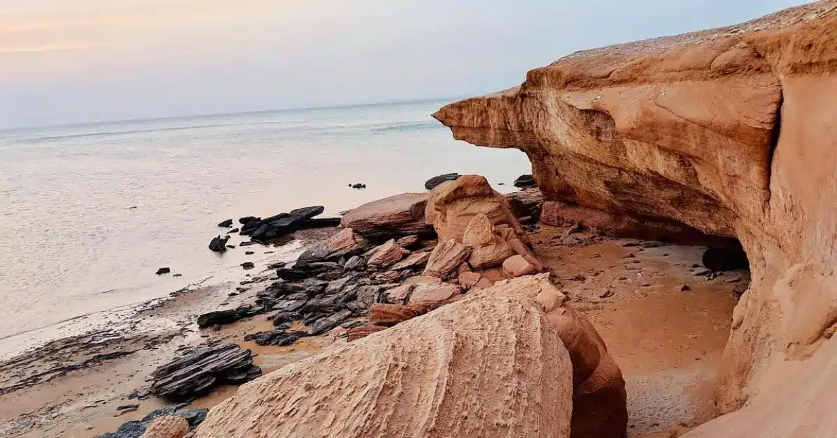 4x4 Road Trip to Shuweihat Island Complete Guide from Dubai or Abu Dhabi (2025)