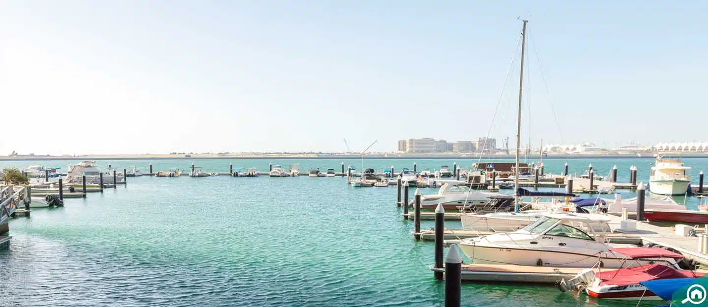 Dalma Island Natural Beauty and Activities Dalma Island Natural Beauty and Activities