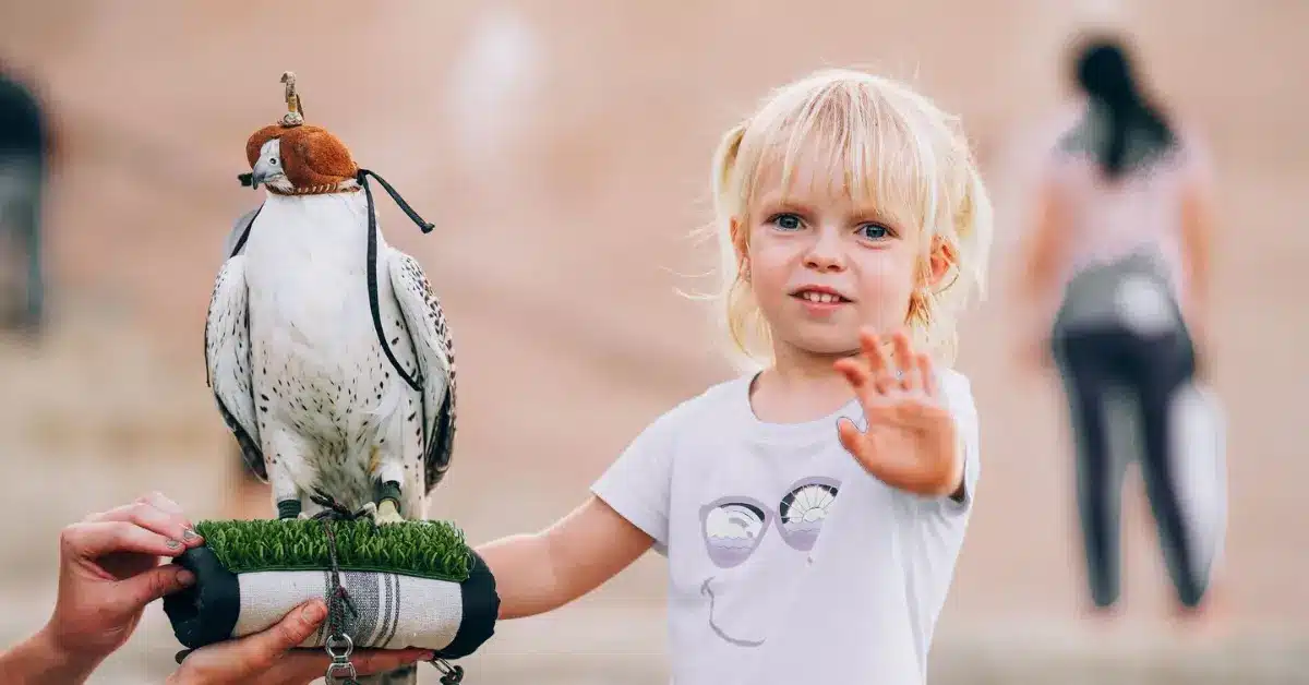 Parks in Abu Dhabi