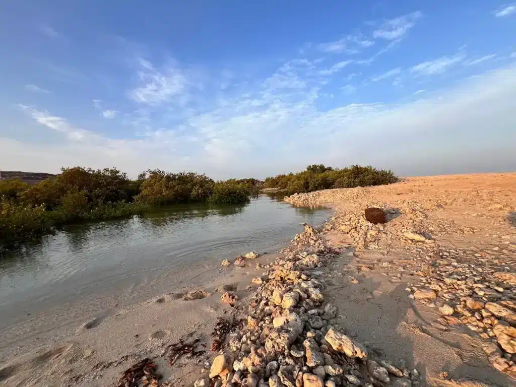 Top Things to Do on Dalma Island