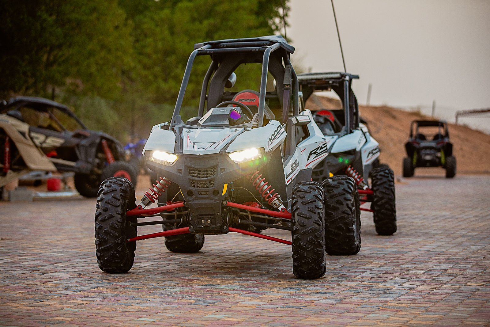 desert safari IMG 5263