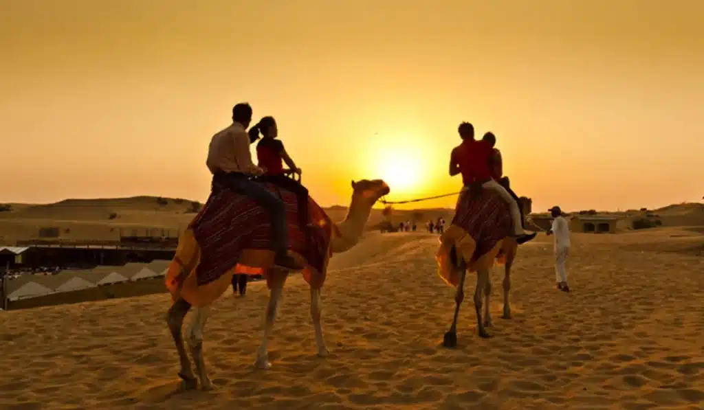 camel riding morning