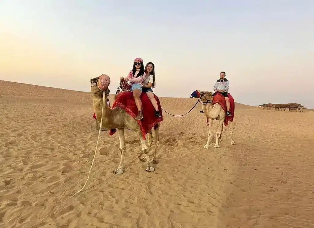 evening desert safari camel riding