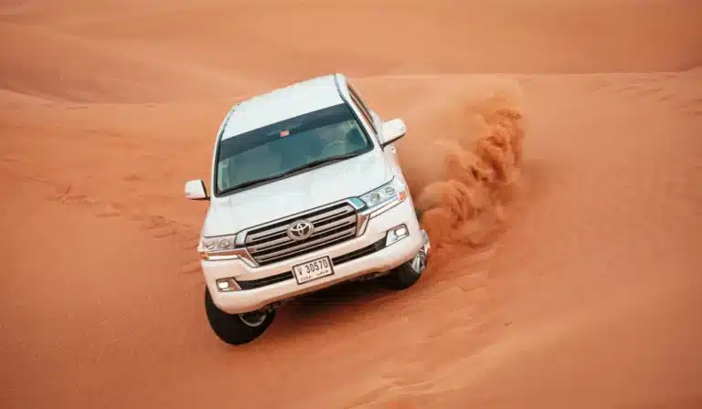 Evening Desert Safari