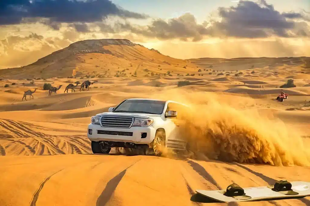 morning desert safari