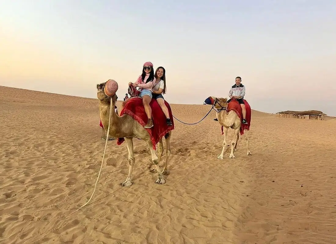 Top Desert Activities in Dubai Beyond Dune Buggies (2026 Guide)