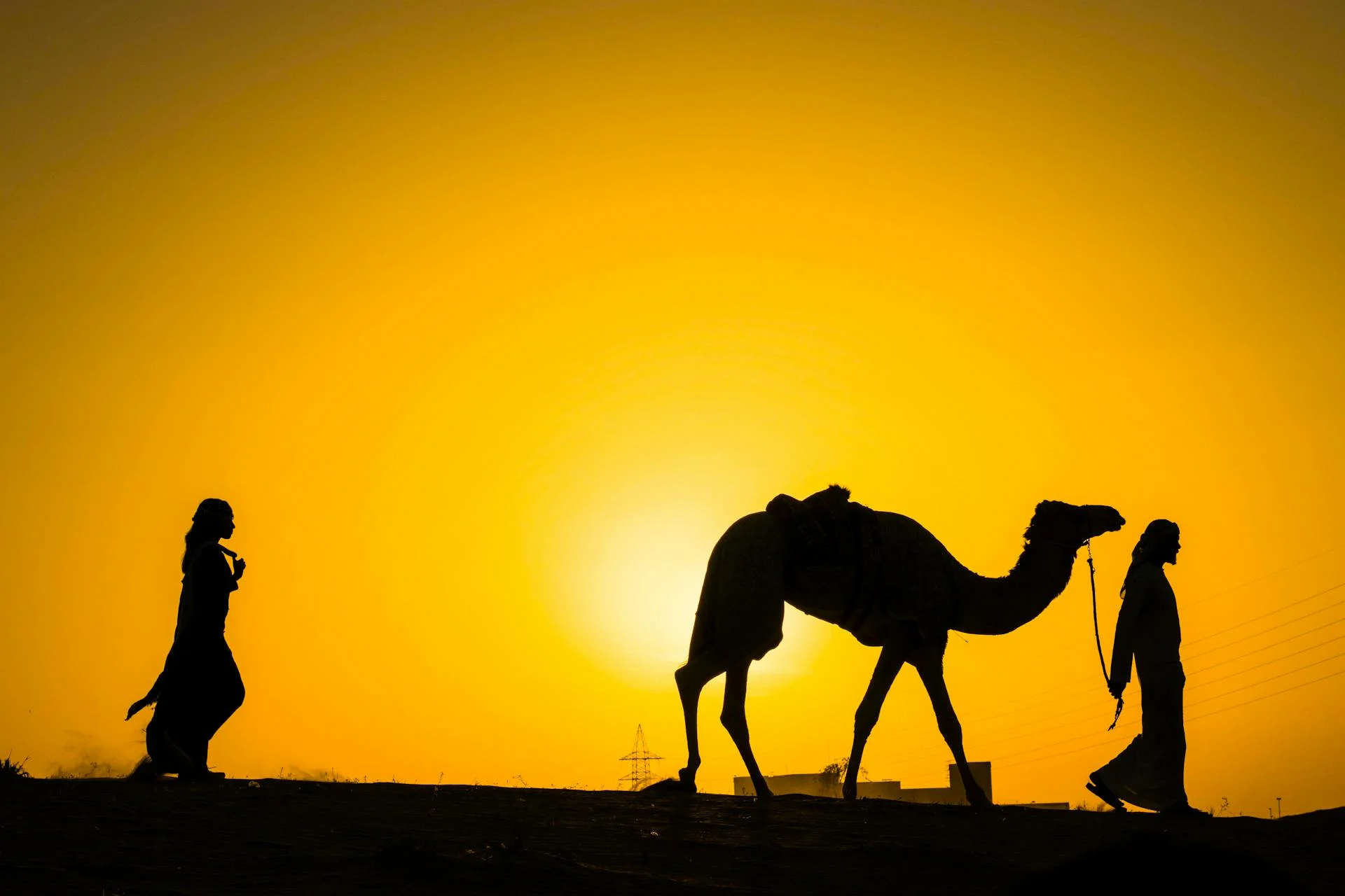 Morning vs Evening Dune Buggy Dubai comparison showing sunrise ride and sunset safari experience