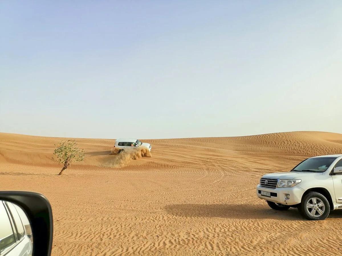 Camel caravan silhouette at golden hour in Dubai desert - best time for tours