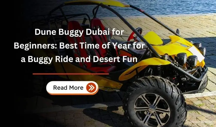 Dune Buggy Dubai for Beginners: Best Time of Year for a Buggy Ride and Desert Fun
