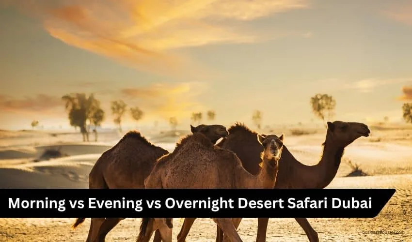 The Complete Dubai Desert Safari Guide for First-Time Visitors